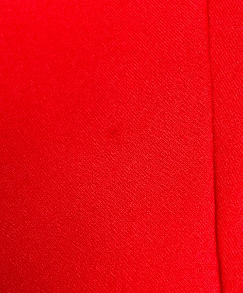 NIKE（ナイキ）NIKE (ナイキ) jacquemus (ジャックムス) University Red Sports Casual Midi Skirt レッド サイズ:SIZE Sの古着・服飾アイテム