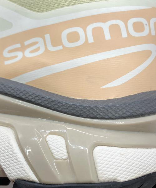 SALOMON（サロモン）SALOMON (サロモン) XT-6 'Aloe Wash Hazelnut' ライトグリーン×ベージュ サイズ:USA w9/m8 未使用品の古着・服飾アイテム
