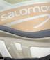 中古・古着 SALOMON (サロモン) XT-6 'Aloe Wash Hazelnut' ライトグリーン×ベージュ サイズ:USA w9/m8 未使用品：16000円