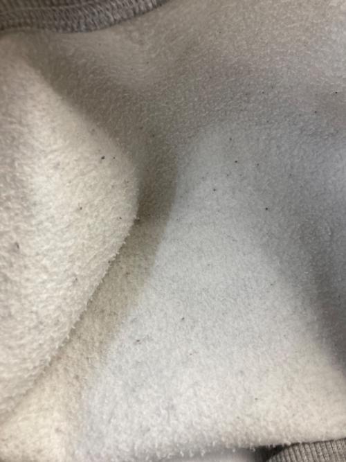 Acne studios（アクネ ストゥディオズ）Acne studios (アクネ ストゥディオズ) ハイネックオーバーサイズスウェット　beta flock paw14 グレー サイズ:SIZE XSの古着・服飾アイテム