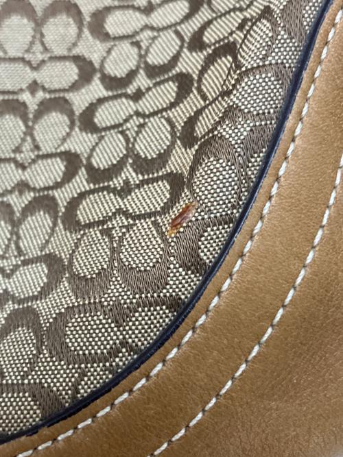 COACH（コーチ）COACH (コーチ) ソーホーホーボ-ショルダーバッグ　a04j-6808 ブラウン サイズ:実寸参照の古着・服飾アイテム