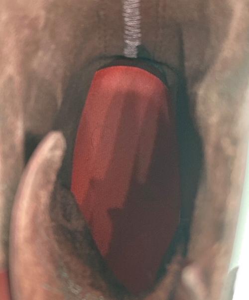 Dr.Martens（ドクターマーチン）Dr.Martens (ドクターマーチン) 10ホールブーツ ボルドー サイズ:SIZE UK8の古着・服飾アイテム