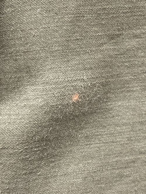 CIOTA（シオタ）CIOTA (シオタ) スビンコットンバックサテンベイカーパンツ オリーブ サイズ:SIZE 5の古着・服飾アイテム