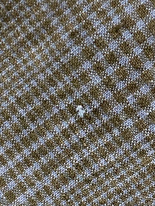 GARMENT REPRODUCTION OF WORKERS（ガーメントリプロダクションオブワーカーズ）GARMENT REPRODUCTION OF WORKERS (ガーメントリプロダクションオブワーカーズ) リネンガウンコート ネイビー サイズ:SIZE 0の古着・服飾アイテム