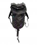 Patagoniaパタゴニア）の古着「Ascensionist Pack 30L」｜グレー