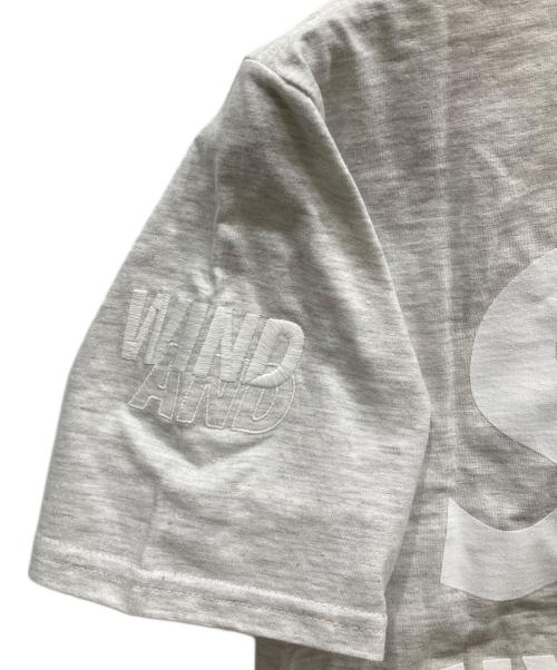 WIND AND SEA（ウィンダンシー）WIND AND SEA (ウィンダンシー) Hysteric Glamour (ヒステリックグラマー) Tシャツ グレー サイズ:Sの古着・服飾アイテム