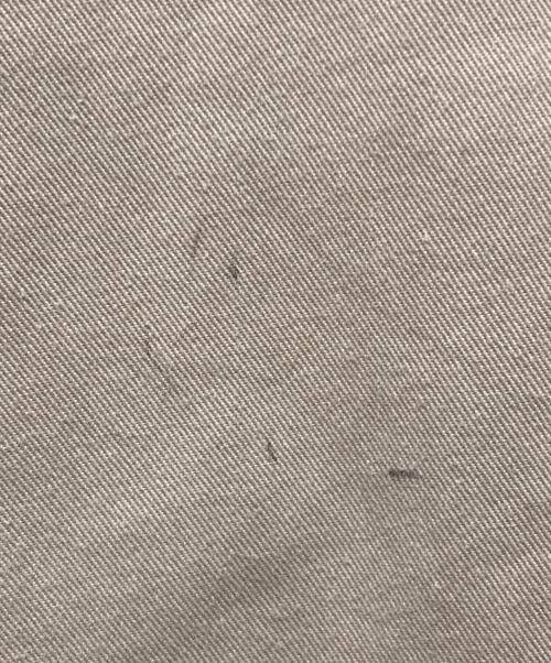 Dickies（ディッキーズ）Dickies (ディッキーズ) Ron Herman (ロンハーマン) WORK PANT ベージュ サイズ: 81cm (W32)の古着・服飾アイテム