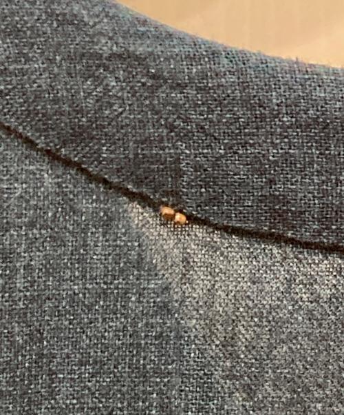 Pal'las Palace（パラスパレス）PAL'LAS PALACE (パラスパレス) インディゴ半袖コットンワンピース ネイビー サイズ:-の古着・服飾アイテム