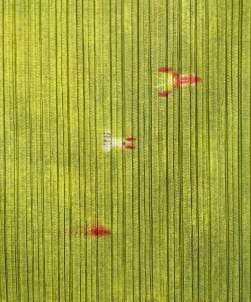 PLEATS PLEASE（プリーツプリーズ）PLEATS PLEASE (プリーツプリーズ) 水彩プリントプリーツスカート イエロー サイズ:5の古着・服飾アイテム