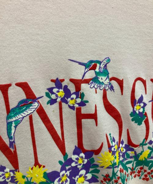 Hanes（ヘインズ）Hanes (ヘインズ) プリントTシャツ ピンク サイズ:Ⅼの古着・服飾アイテム