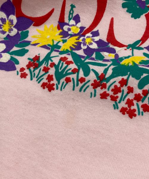 Hanes（ヘインズ）Hanes (ヘインズ) プリントTシャツ ピンク サイズ:Ⅼの古着・服飾アイテム