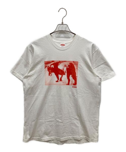 SUPREME（シュプリーム）Supreme (シュプリーム) 森山大道 (モリヤマダイドウ) Daido Moriyama Dog Tee ホワイト サイズ:SIZE Mの古着・服飾アイテム