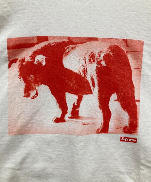 SUPREME（シュプリーム）Supreme (シュプリーム) 森山大道 (モリヤマダイドウ) Daido Moriyama Dog Tee ホワイト サイズ:SIZE Mの古着・服飾アイテム