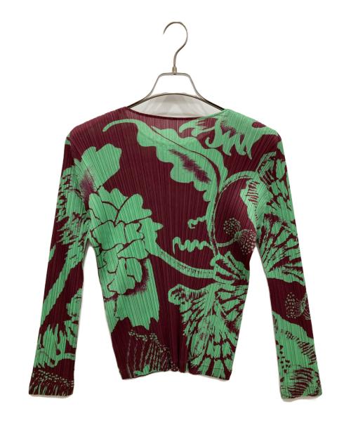 PLEATS PLEASE（プリーツプリーズ）PLEATS PLEASE (プリーツプリーズ) 総柄プリーツカットソー ボルドー×グリーン サイズ:-の古着・服飾アイテム