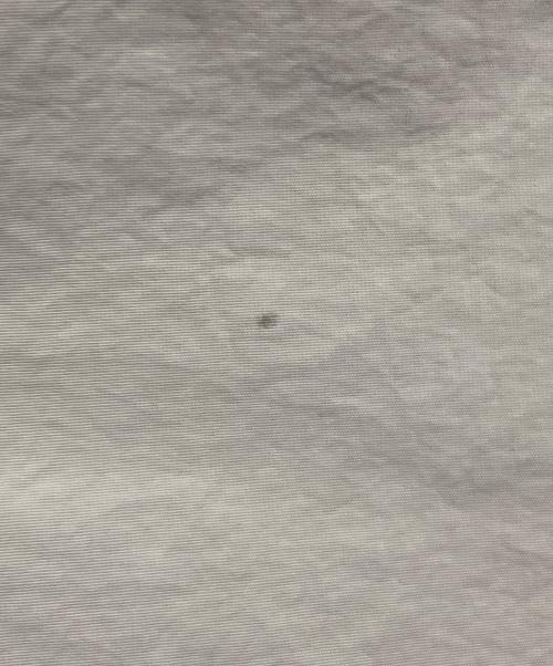 GRAMICCI（グラミチ）GRAMICCI (グラミチ) LOWERCASE (ロウワーケース) NYLON LOOSE SHORT ベージュ サイズ:Ⅿの古着・服飾アイテム