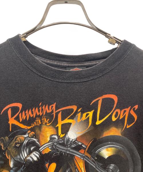 HARLEY-DAVIDSON（ハーレーダビッドソン）HARLEY-DAVIDSON (ハーレーダビッドソン) 両面プリントTシャツ ブラック サイズ:ＸＬの古着・服飾アイテム
