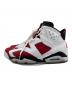 NIKE (ナイキ) Air Jordan 6 