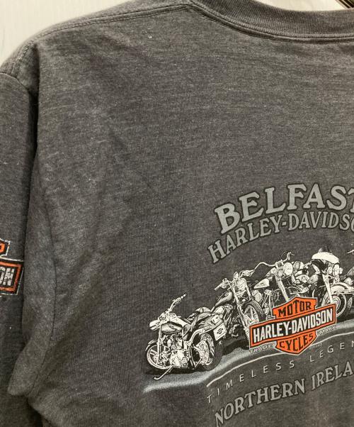 HARLEY-DAVIDSON（ハーレーダビッドソン）HARLEY-DAVIDSON (ハーレーダビッドソン) Hanes (ヘインズ) ロングスリーブカットソー チャコールグレー サイズ:Mの古着・服飾アイテム