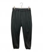 THE NORTH FACEザ ノース フェイス）の古着「TECH LOUNGE PANT」｜グレー