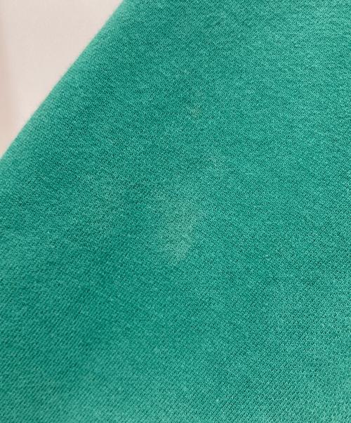 stussy（ステューシー）stussy (ステューシー) プルオーバーパーカー グリーン サイズ:Ⅼの古着・服飾アイテム