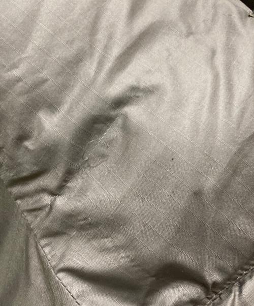 Patagonia（パタゴニア）Patagonia (パタゴニア) das parka ゲッコーグリーン サイズ:XLの古着・服飾アイテム