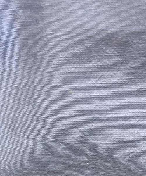 Patagonia（パタゴニア）Patagonia (パタゴニア) バギーショーツ パープル サイズ:Sの古着・服飾アイテム