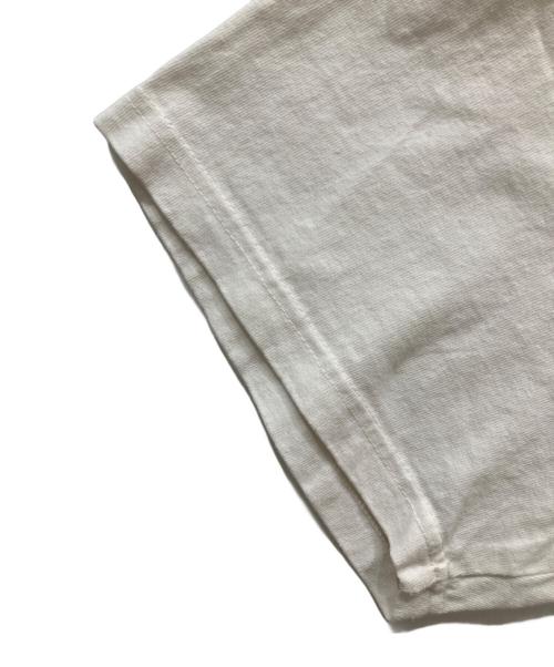 stussy（ステューシー）stussy (ステューシー) BIG & MEATY PIG DYED TEE ホワイト サイズ:SIZE Lの古着・服飾アイテム