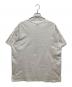 stussy (ステューシー) BIG & MEATY PIG DYED TEE ホワイト サイズ:SIZE L：6000円