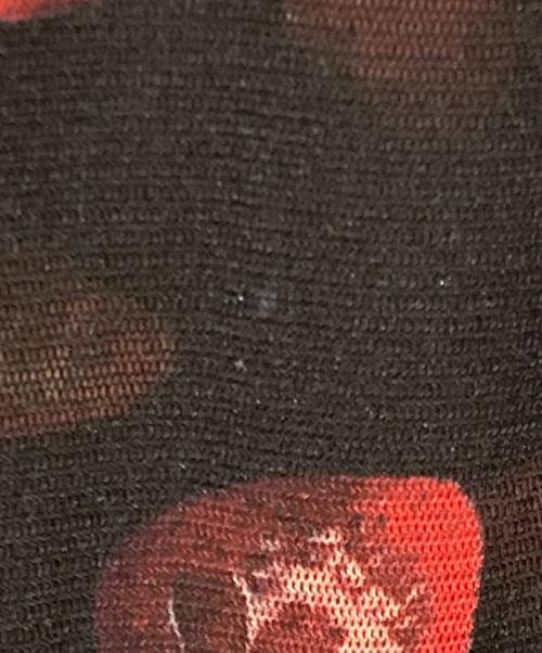 Hysteric Glamour（ヒステリックグラマー）Hysteric Glamour (ヒステリックグラマー) SKULL BERRY柄 Tシャツ ブラック×レッド サイズ:SIZE Freeの古着・服飾アイテム