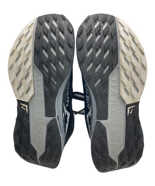 NIKE（ナイキ）NIKE (ナイキ) Pegasus Trail 5 GORE-TEX ブラック サイズ:23cmの古着・服飾アイテム