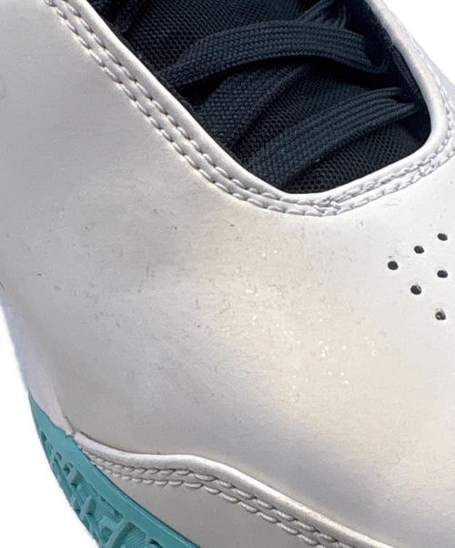 NIKE（ナイキ）NIKE (ナイキ) レブロン NXXT GEN AMPD EP ホワイト×グリーン サイズ:SIZE 28cmの古着・服飾アイテム