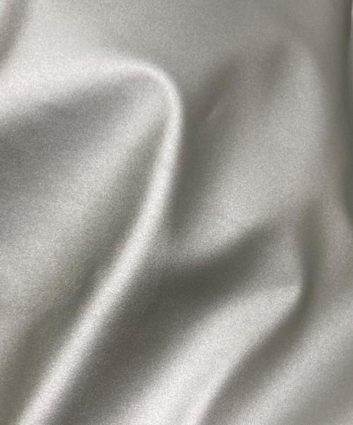 DIESEL（ディーゼル）DIESEL (ディーゼル) リュック ブラック×シルバーの古着・服飾アイテム