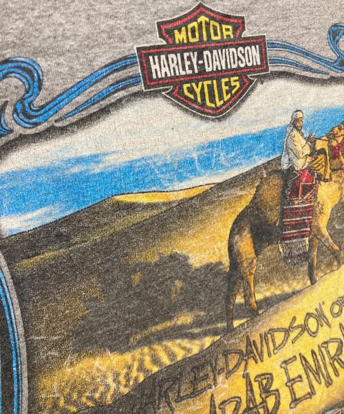 HARLEY-DAVIDSON（ハーレーダビッドソン）HARLEY-DAVIDSON (ハーレーダビッドソン) 00’S両面プリントTシャツ グレー サイズ:SIZE Mの古着・服飾アイテム