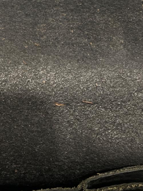 ISAMU KATAYAMA BACKLASH（イサムカタヤマ・バックラッシュ）ISAMU KATAYAMA BACKLASH (イサムカタヤマ・バックラッシュ) 2つ折り財布 ブラックの古着・服飾アイテム