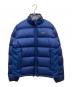 Patagonia（パタゴニア）の古着「インサレーション グースダウンジャケット」｜ブルー
