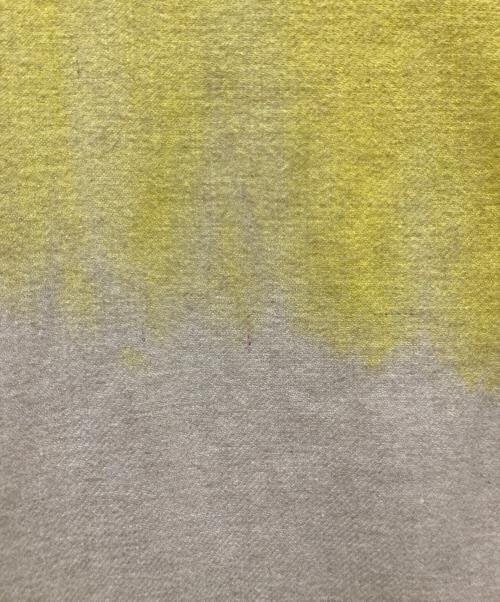 The Elder Statesman（エルダーステイツマン）The Elder Statesman (エルダーステイツマン) Ron Herman (ロンハーマン) 別注タイダイシャツ イエロー×グリーン サイズ:Ⅿの古着・服飾アイテム