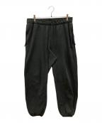 NIKE ACGナイキエーシージー）の古着「WOLF TREE FLEECE PANT」｜グレー