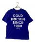 stussy（ステューシー）の古着「COLD ROCKINプリントTシャツ」｜ブルー