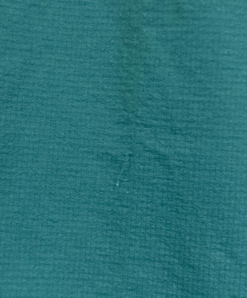 THE NORTH FACE（ザ ノース フェイス）THE NORTH FACE (ザ ノース フェイス) スワローテイルベントフーディ グリーン サイズ:SIZE Mの古着・服飾アイテム