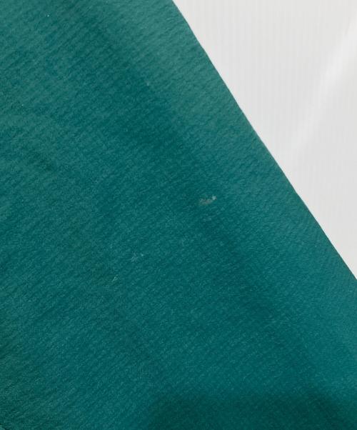 THE NORTH FACE（ザ ノース フェイス）THE NORTH FACE (ザ ノース フェイス) スワローテイルベントフーディ グリーン サイズ:SIZE Mの古着・服飾アイテム