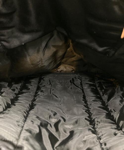 PORTER（ポーター）PORTER (ポーター) MARNI (マルニ) 2WAYバッグ カーキ×ブラックの古着・服飾アイテム