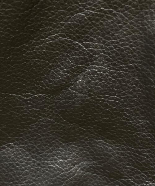 Liugoo Leathers（リューグーレザーズ）LIUGOO LEATHERS (リューグーレザーズ) プロテクターレザージャケット ブラック サイズ:SIZE LLの古着・服飾アイテム