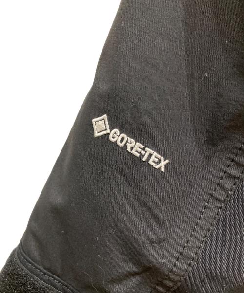 THE NORTH FACE（ザ ノース フェイス）THE NORTH FACE (ザ ノース フェイス) マウンテンダウンジャケット　MOUNTAIN DOWN JACKET ブラック サイズ:SIZE Lの古着・服飾アイテム