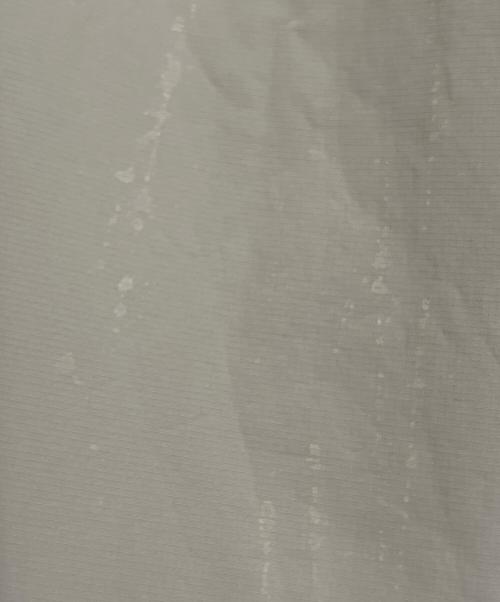 THE NORTH FACE（ザ ノース フェイス）THE NORTH FACE (ザ ノース フェイス) HYKE (ハイク) ゴアテックスマウンテンコート　GTX Mountain Coat ベージュ サイズ:SIZE Lの古着・服飾アイテム