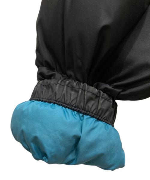THE NORTH FACE（ザ ノース フェイス）THE NORTH FACE (ザ ノース フェイス) ダウンジャケット ブラック×ブルー サイズ:Ⅼの古着・服飾アイテム