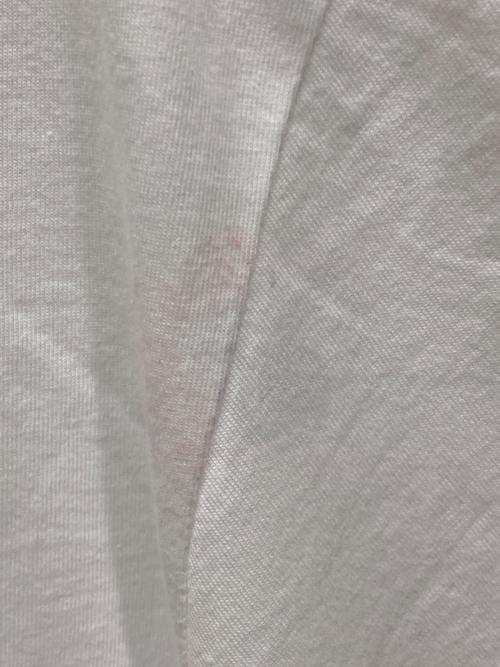 POLO SPORT（ポロスポーツ）POLO SPORT (ポロスポーツ) USAプリントTシャツ ホワイト サイズ:SIZE Mの古着・服飾アイテム