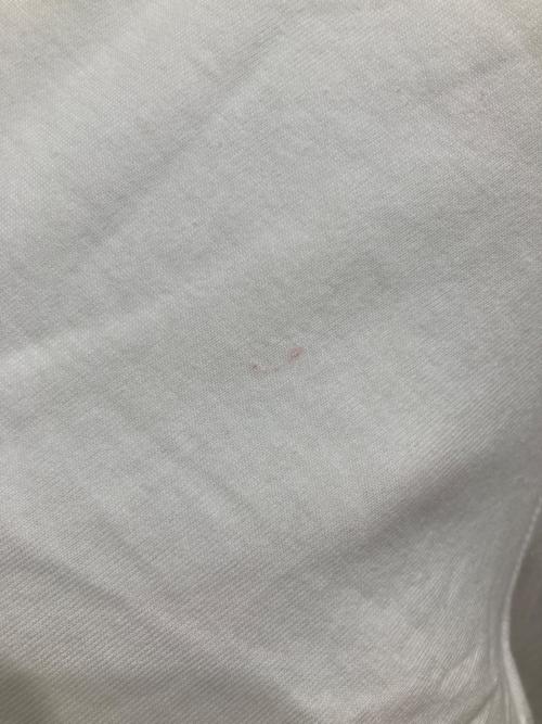 POLO SPORT（ポロスポーツ）POLO SPORT (ポロスポーツ) USAプリントTシャツ ホワイト サイズ:SIZE Mの古着・服飾アイテム