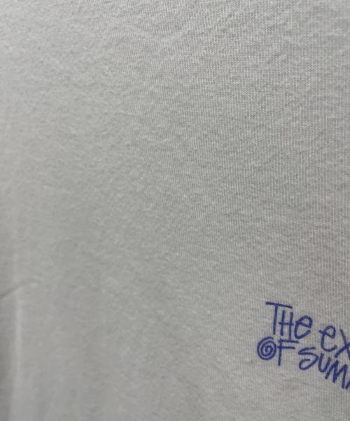 stussy（ステューシー）stussy (ステューシー) プリントTシャツ ホワイト サイズ:Sの古着・服飾アイテム