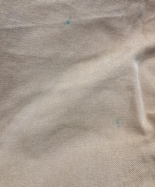 CarHartt（カーハート）CarHartt (カーハート) ダックダブルニーパンツ ベージュ サイズ: 36×32の古着・服飾アイテム