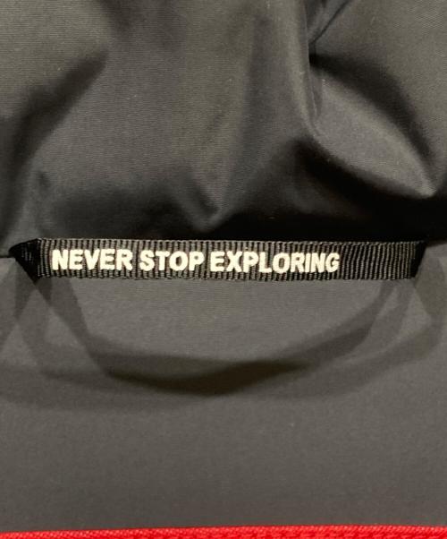 THE NORTH FACE（ザ ノース フェイス）THE NORTH FACE (ザ ノース フェイス) Supreme (シュプリーム) Faux Fur Nuptse Jacket グリーン サイズ:Ⅼの古着・服飾アイテム